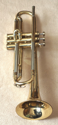 HÜTTL TRUMPET(front)